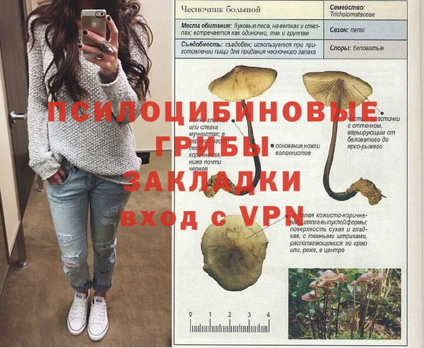 каннабис Баксан